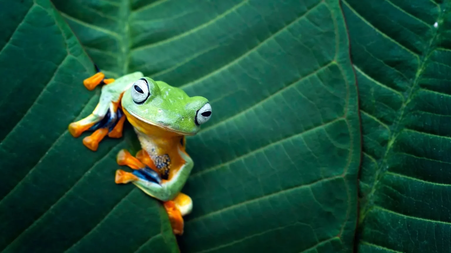 Are you a frog in hot or cold water?