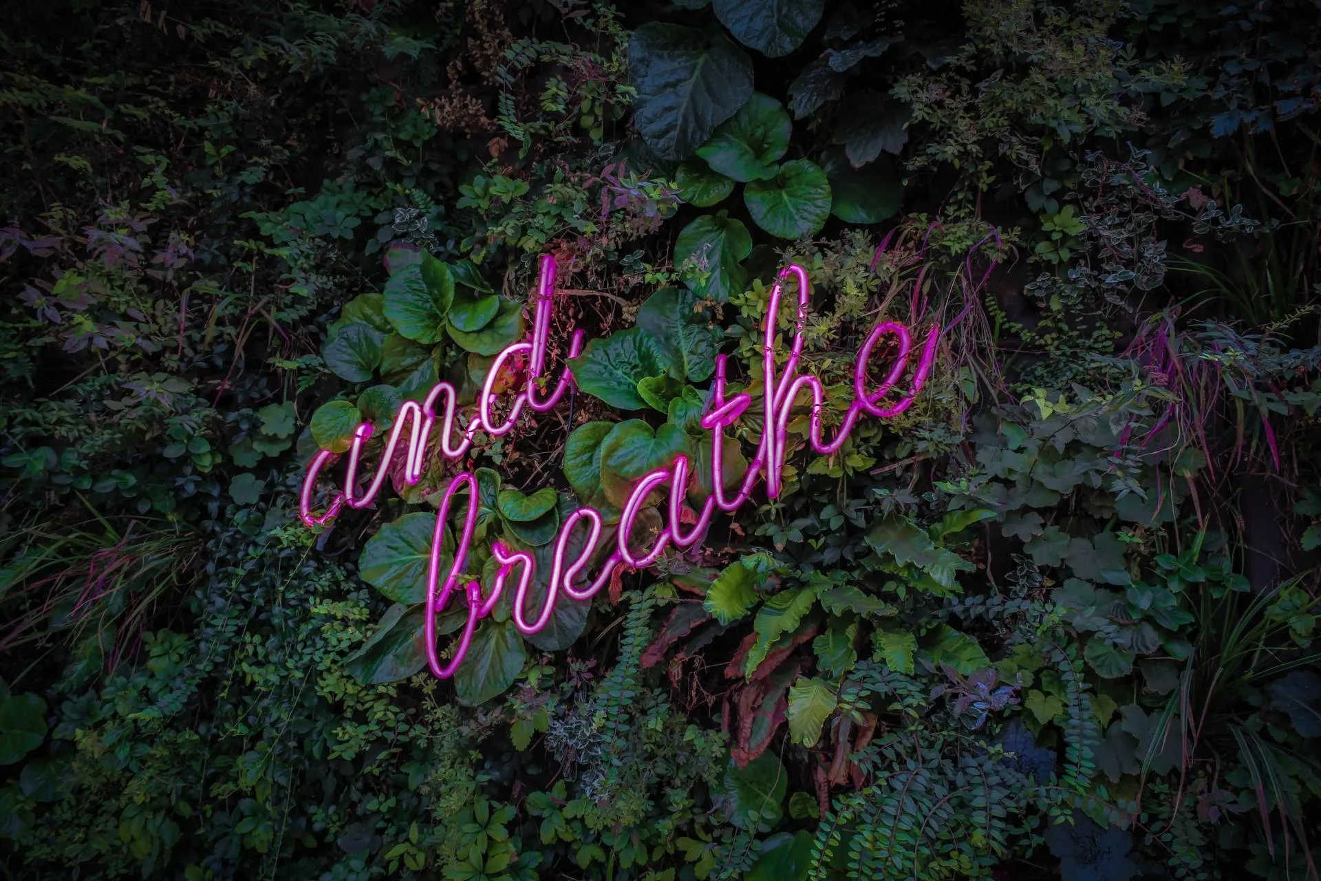 Meditation: Embrace the future you