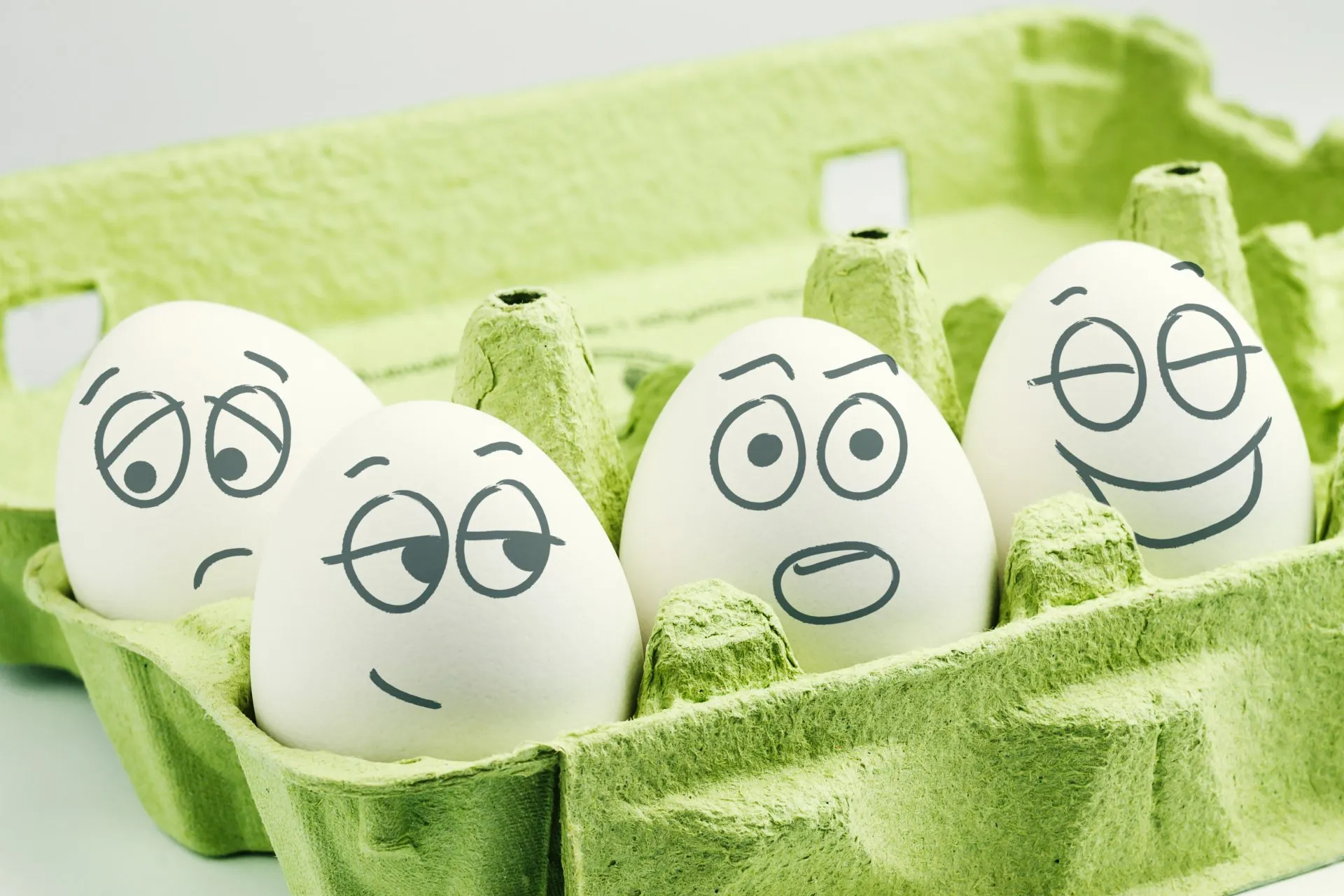 Your temperament blend... which one are you?